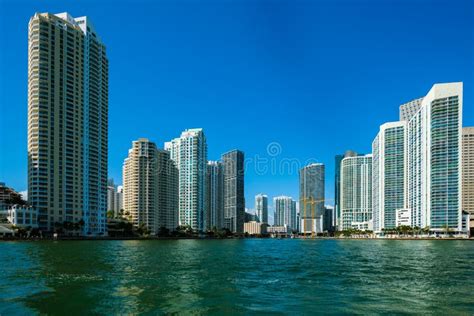 Downtown Miami Skyline stock photo. Image of nature - 141414936