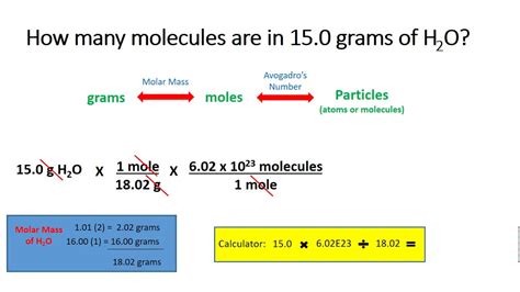 Convert Grams To Moles And Atoms