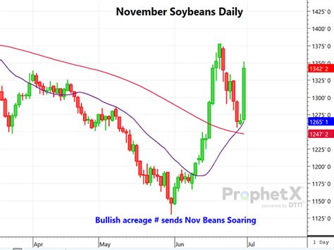 Soybean Futures Soar on Sharp Drop in Planted Acres, Lower Stocks