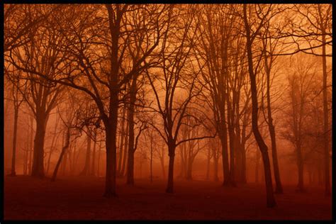 red fog by Bekon on DeviantArt