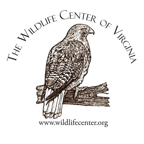 Wildlife Center of Virginia