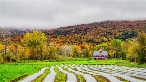 Download Field Forest Tree Fall Landscape Man Made Farm 4k Ultra HD Wallpaper