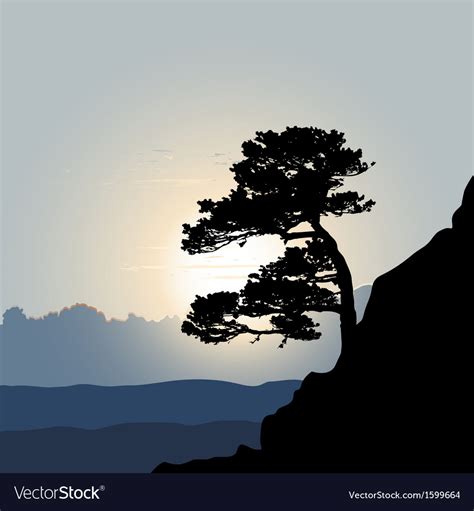 Tree silhouette on a mountain background sunrise Vector Image