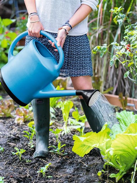 Watering Cans - Plastic 3 Gallon Watering Can | $75+ Orders Ship Free