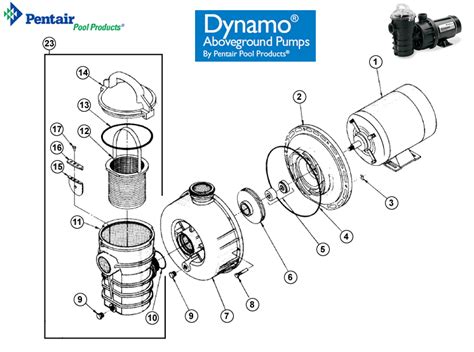 Pentair Pool Pump Parts List | Reviewmotors.co