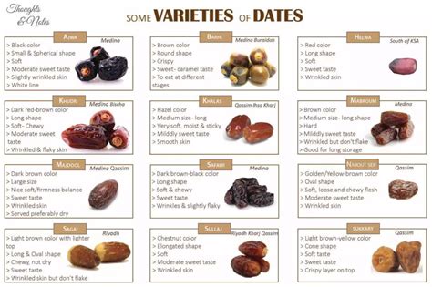 Types of dates and benefits for our health - Legit.ng