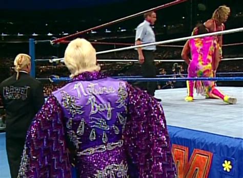 CrazyTights | Ric Flair (robes) - Purple