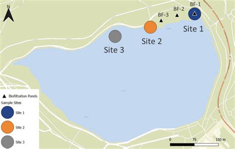 UBC researchers find high levels of contaminants in Lost Lagoon: study ...