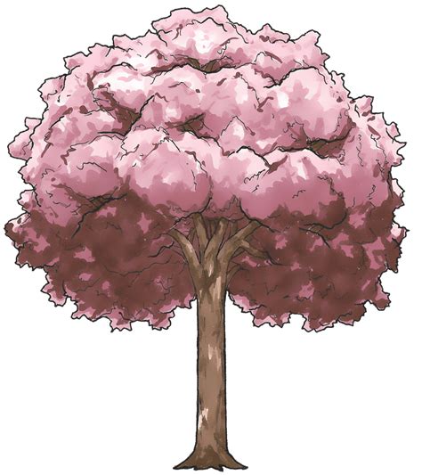 √ Sakura Tree Transparent