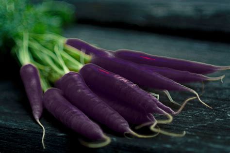 Black Carrot Seeds Black Nebula Carrot Seeds Daucus Carota | Etsy