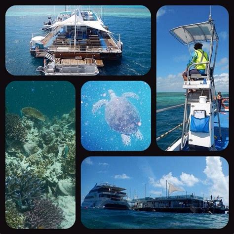 Great day at Reefworld on Hardy Reef today. Worth the choppy trip. And ...