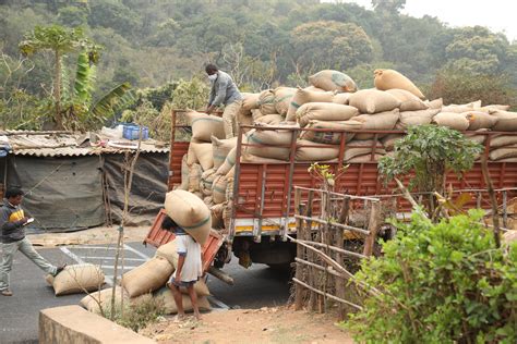 Improved Agriculture in India Leads to Better Education - TechnoServe