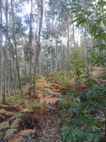 schist village walk 148 | Central Portugal - Off the Tourist Trail