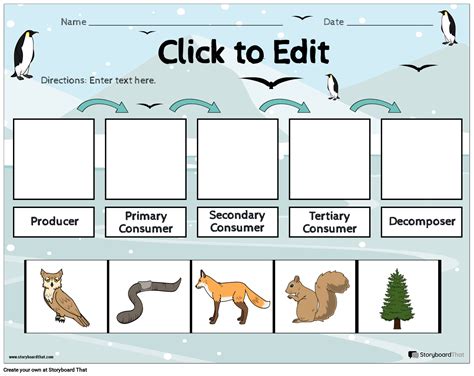 Food Chain and Web Worksheets: Free Customizable Templates