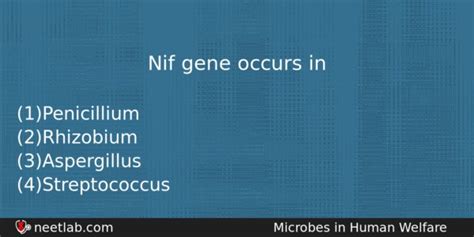 Nif gene occurs in - NEETLab