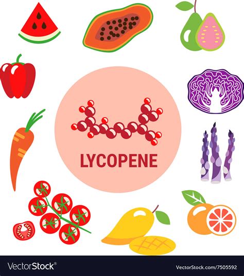 Best sources of lycopene in fruits and vegetables Vector Image