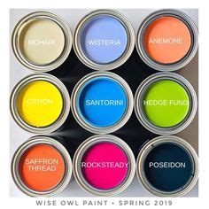 Wise Owl Paint