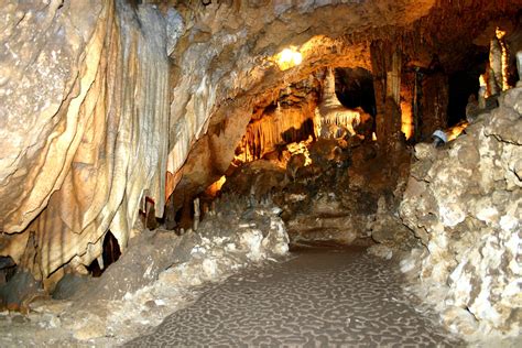 Florida Caverns State Park, Marianna, FL | The Florida Cavern has dazzling formations of ...