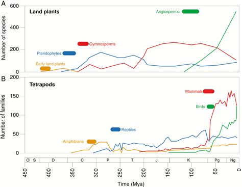 Integrative approaches to understanding angiosperm origins and diversity