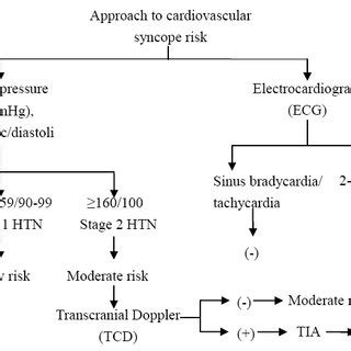 Approach to cardiovascular syncope risk: the diagram showed how BP and... | Download Scientific ...