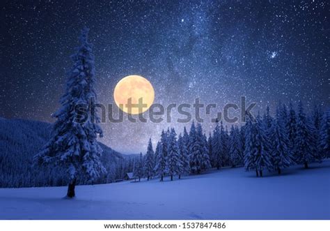 Winter Night Full Moon Starry Sky Stock Photo 1537847486 | Shutterstock