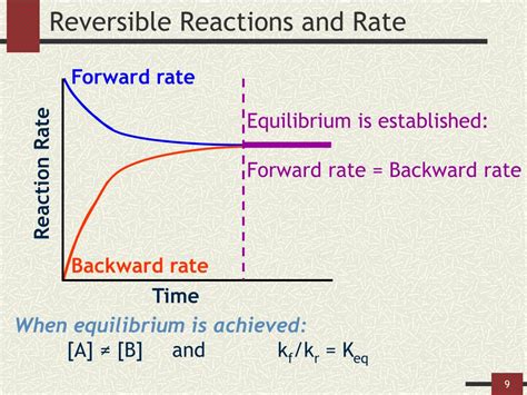 What Is A Reversible Reaction