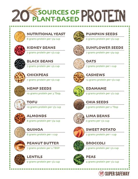 Best Plant Based Sources of Protein - Super Safeway | Nutrition, Plant ...