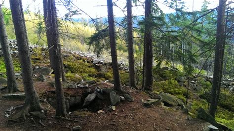 Ancient Bohemian Forest Known as Šumava Where Celts Once Roamed