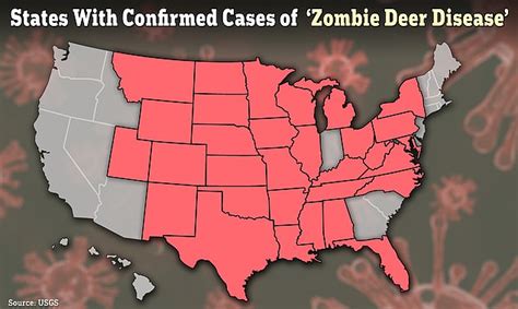 Two hunters 'become first Americans to die from ZOMBIE DEER disease' after eating infected ...