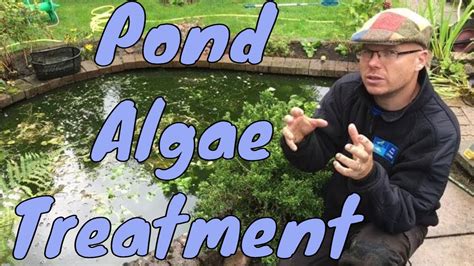 Multi Aqua - Ultimate Algae Treatment and Take Your Pond to the Next Level! - YouTube