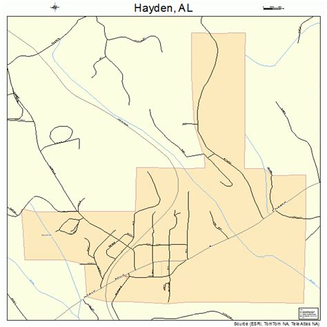 Hayden Alabama Street Map 0133640