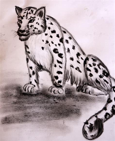 Snow Leopards Drawing at GetDrawings | Free download