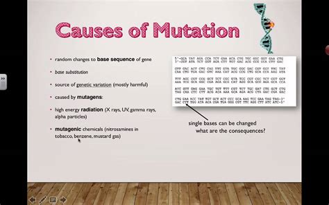 Causes of mutation (2016) IB Biology - YouTube