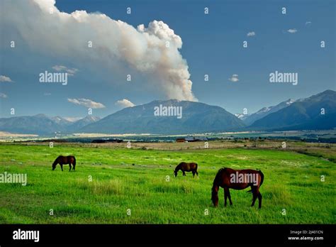 Fire on Chief Joseph Mountain, Wallowa Valley, Oregon Stock Photo - Alamy