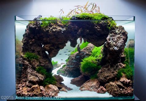 Aquascape Cave - Aquascape Ideas