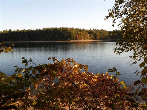 Walden Pond and Walden Pond State Reservation, Concord, Massachusetts, USA Stock Image - Image ...