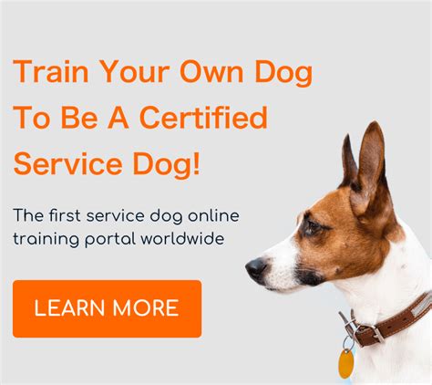 Service Dog Training School International - blog list