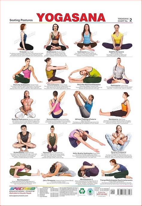 How Many Types Of Asanas Are There In Yoga