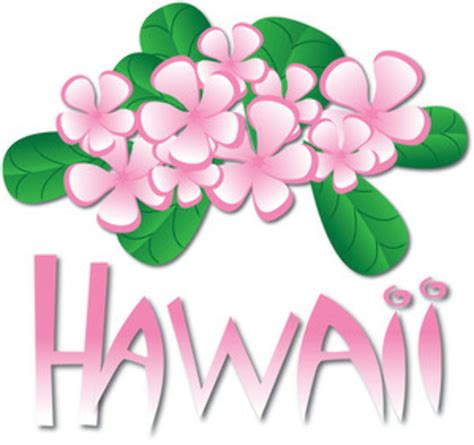 Download High Quality hawaii clipart aloha Transparent PNG Images - Art Prim clip arts 2019