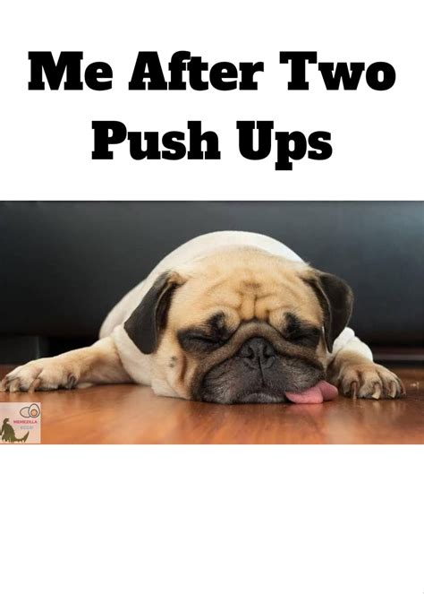 Me after Two Push Ups. Follow us for more cute images. | Funny dog images, Cute images, Funny dogs