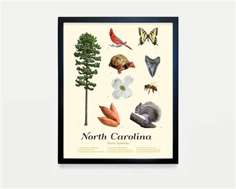 North Carolina State Symbols Typology North Carolina Art North Carolina ...