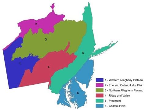 Climate Change Projections for Individual Tree Species in the Mid ...