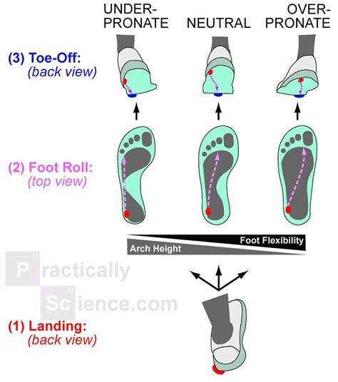 Pronation and Running | Pronation, Feet, Foot deformities