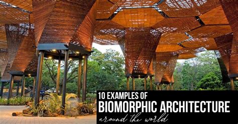 10 Examples of Biomorphic Architecture around the world #Architects # ...