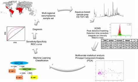 Schematic diagram of the LC-MS based metabolomic workflow. Wherein the... | Download Scientific ...