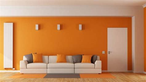 11 Best Paint Brands in India (2022) - Choose Best Paint for Your House