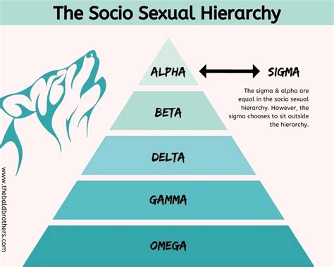 The Sigma Male: Traits, Characteristics & FAQs