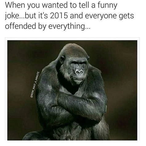 The best offended memes :) Memedroid