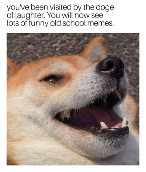 Laughing doggo... - Meme by Mercenary_Hero :) Memedroid