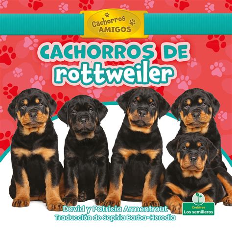 Cachorros de rottweiler (Rottweiler Puppies) eBook by David Armentrout ...